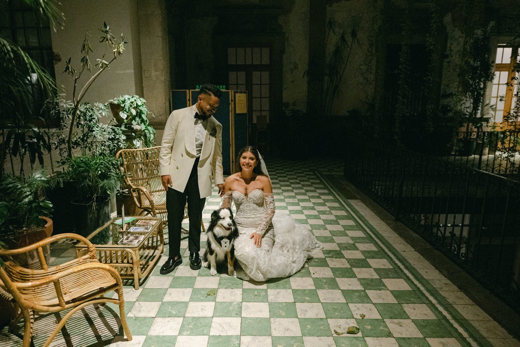 Victoria & Vicente · General Prim, Ciudad de México · Inquadratura
