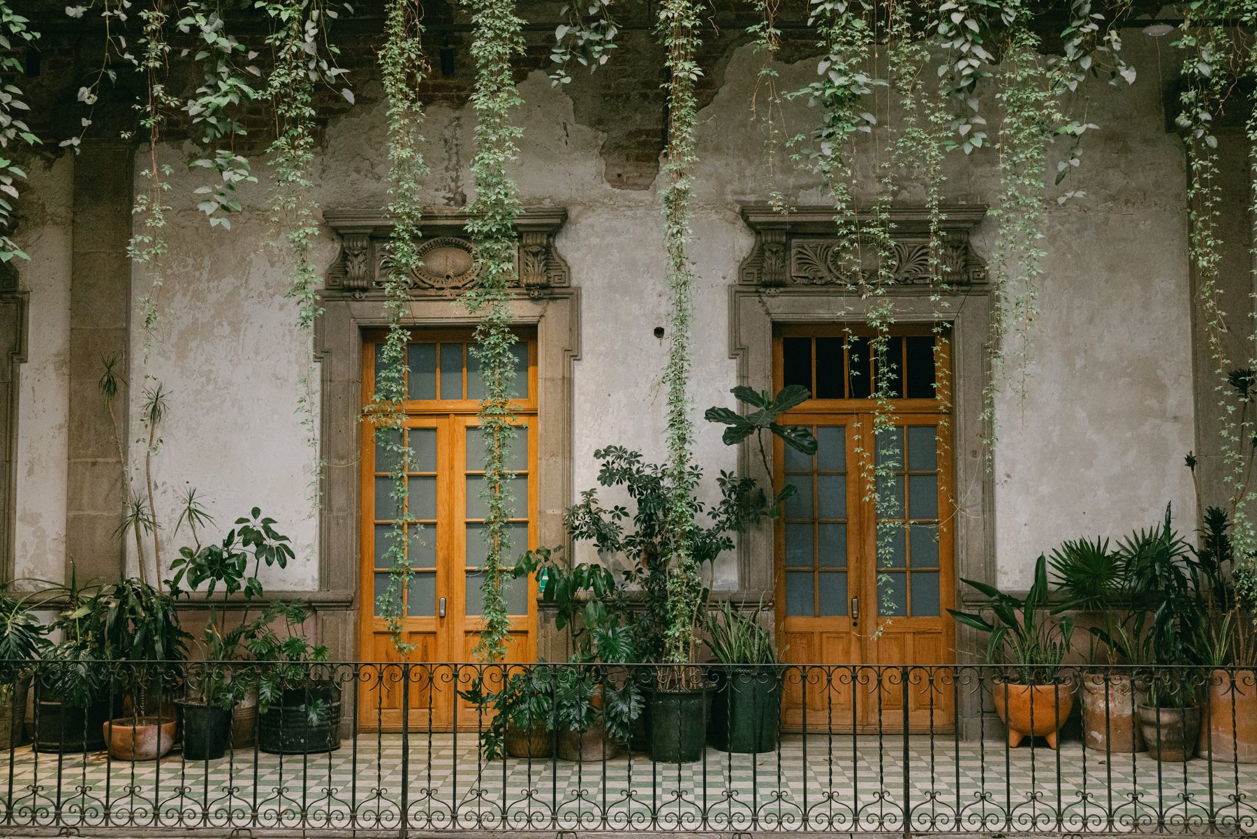Victoria & Vicente · General Prim, Ciudad de México · Inquadratura