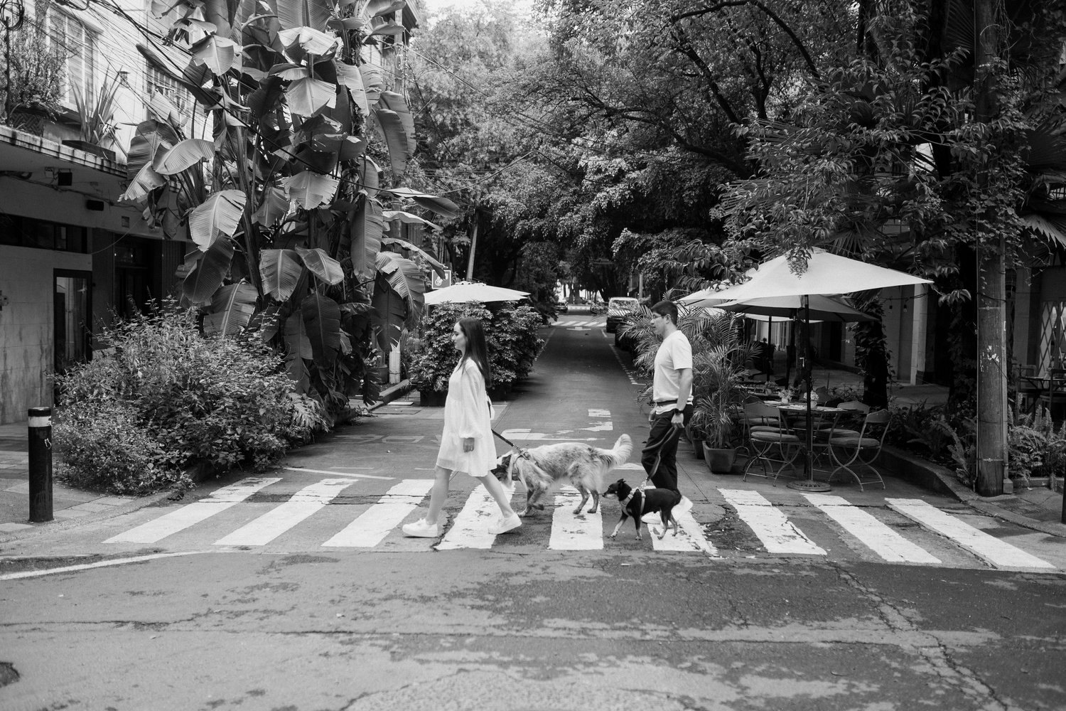 Sesión de pareja antes de la boda · Inquadratura